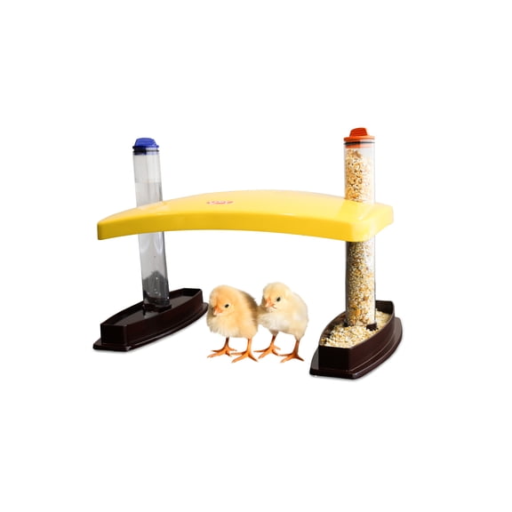 Cozy Chickens Chick Brooder Habitat Water Feeding Tubes 100 Watts