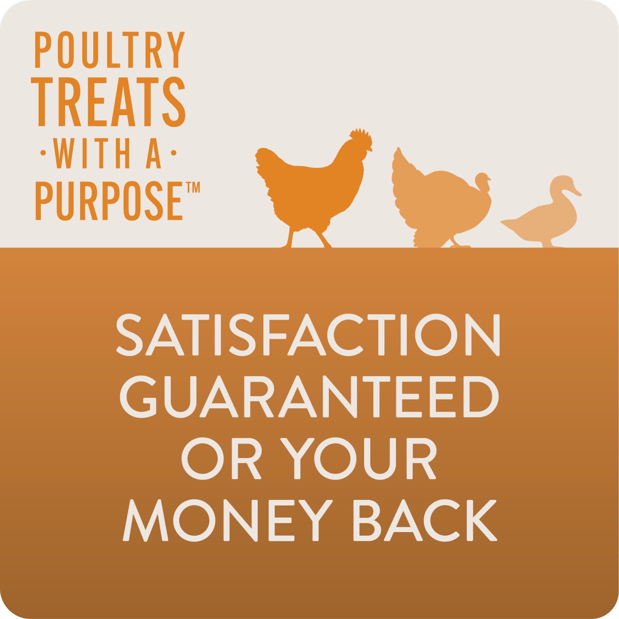 FlockLeader Poultry Treats with a Purpose Enhance for Chickens, 1.5 lb