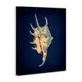 thumbnail image 3 of Stupell Industries Contemporary Spider Conch on Blue Canvas Art, 30 x 40, by Graffitee Studios, 3 of 8