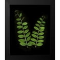 thumbnail image 2 of Geyman, Vitaly 12x14 Black Modern Framed Museum Art Print Titled - Green Leaves II, 2 of 5