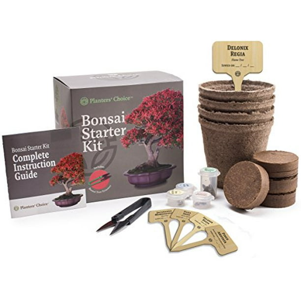 Planters' Choice Bonsai Starter Kit