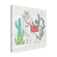 thumbnail image 2 of Trademark Fine Art 'Lovely Llamas V' Canvas Art by Mary Urban, 2 of 3