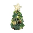 thumbnail image 1 of De Árbol De Navidad Con Estrella Luz Led Suculentas Artificiales Realistas Plantas Adorno De Escritorio Decoración De Navidad Regalos seitruly HA041334-05, 1 of 6