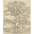 thumbnail image 2 of John Constable 15x18 Black Ornate Wood Framed Double Matted Museum Art Print Titled - A Great Oak Tree (C. 1801), 2 of 5