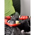 thumbnail image 4 of Jouet de Serpent pour Chats, Jouet de Serpent Intelligent, Jouet Interactif Rechargeable pour Chat, Faux Serpent Réaliste avec Câble USB, pour Animaux de Compagnie, 4 of 5