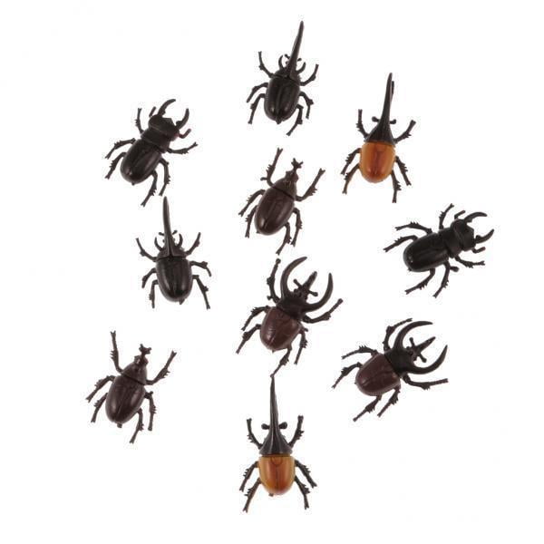 9x Escarabajos de de Plástico Vívido, Modelo de Réplica de Juguete, 10 Unids / pieza, Accesorios para Y Sunnimix Modelo de escarabajos