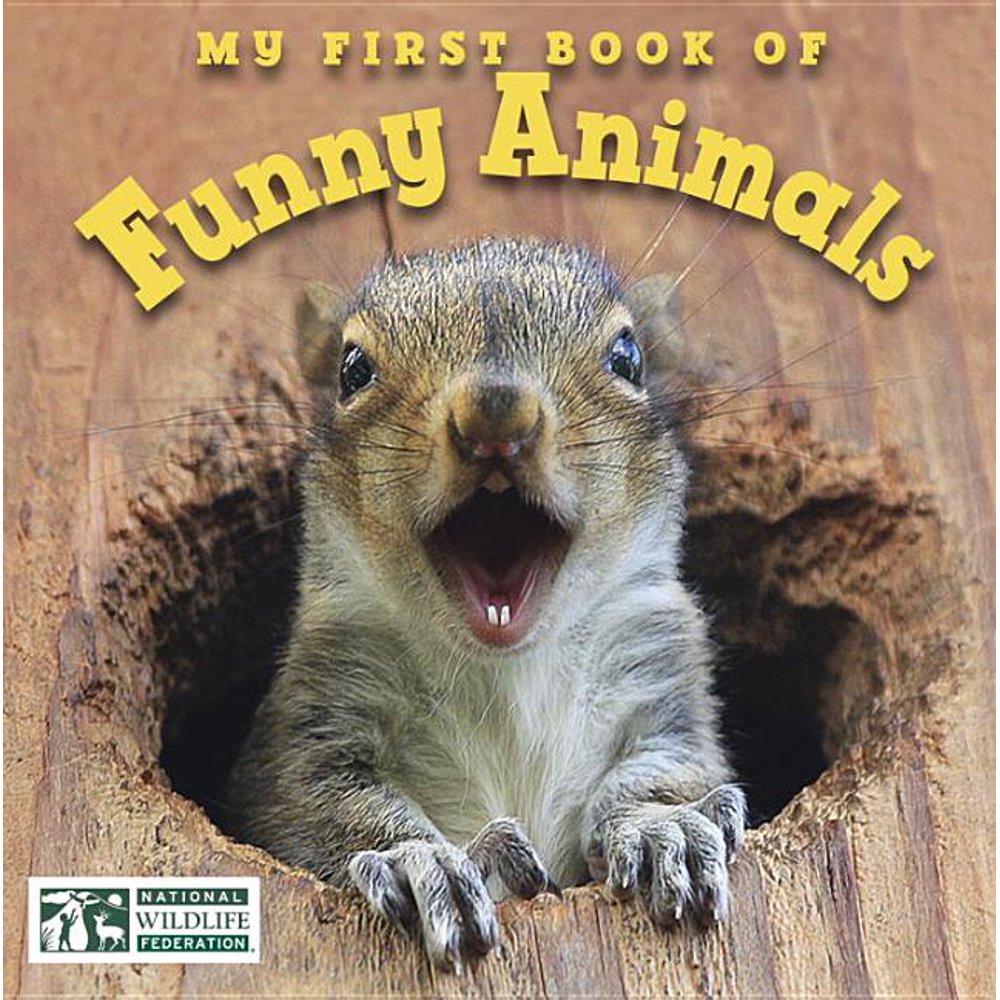 My First Book of Funny Animals (National Wildlife Federation) (Board ...