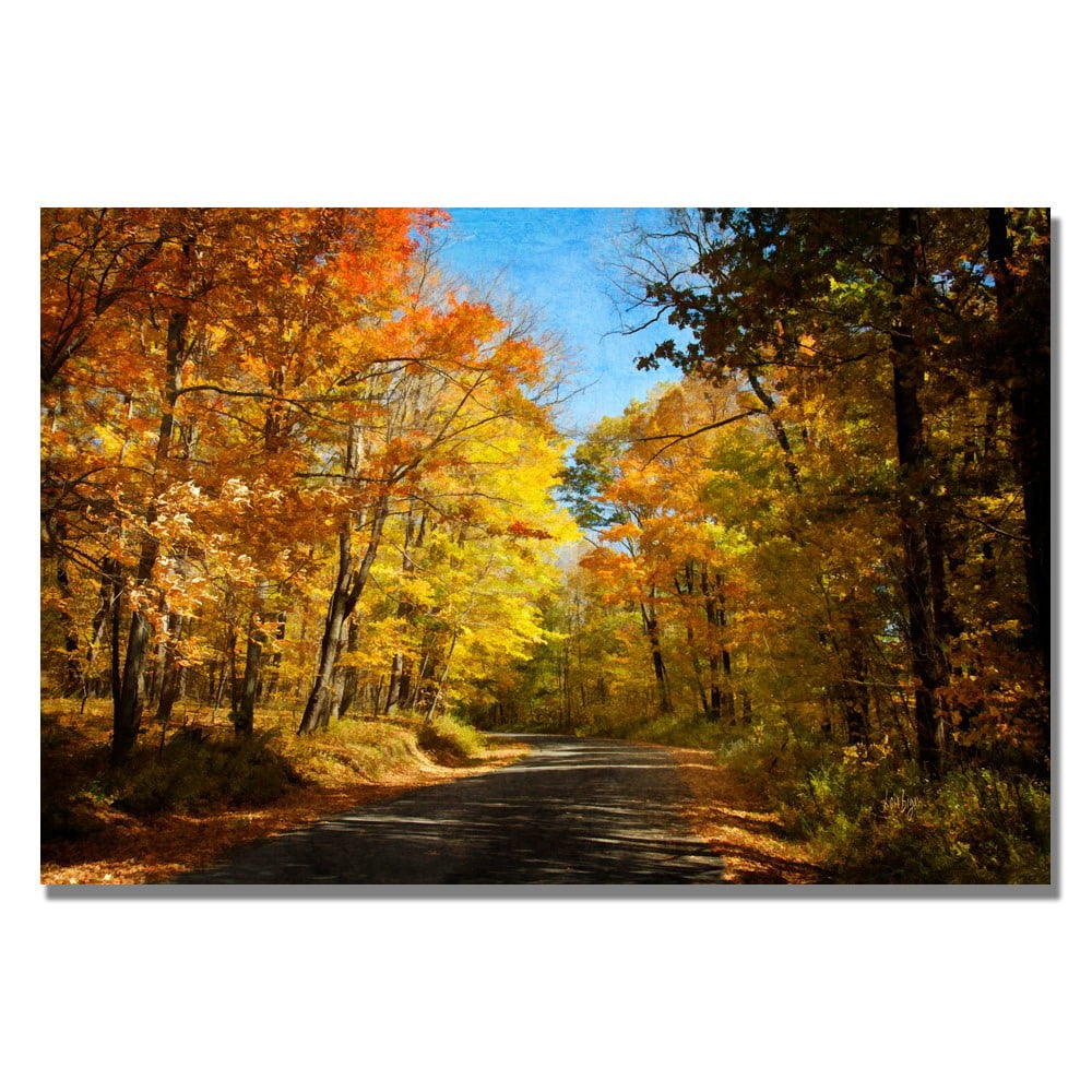 Trademark Fine Art "Fall Walkway" Canvas Wall Art by Lois Bryan