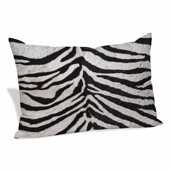 Black White Zebras Pillow Covers Queen, Vintage Abstract Art Soft Brushed Microfiber Breathable Throw Pillow Covers, Decorative Pillowcase with Zipper for Couch Sofa Bedroom Living Room 20"x30"