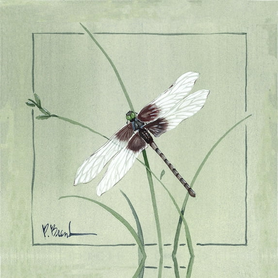 Tile Mural Kitchen Backsplash - PB-Dragonfly - by Paul Brent
