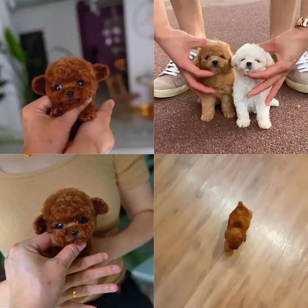 2025 New Robot Dog, Robot Puppy That Acts Like A Real Puppy, Nicoo