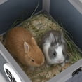 thumbnail image 4 of Coziwow Rabbit Hutch Cat House for Small Animal Wooden 20”x 16”x 17”, Grey, 4 of 7