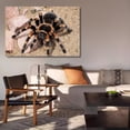 thumbnail image 6 of Mexican Red Knee Tarantula Spider Canvas Poster Bedroom Decor Sports Landscape Office Room Decor Gift,Frame-style,08x12inch(20x30cm), 6 of 8