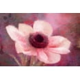 thumbnail image 2 of Kimberly, Allen 18x13 White Modern Wood Framed Museum Art Print Titled - Blooming Pink, 2 of 4