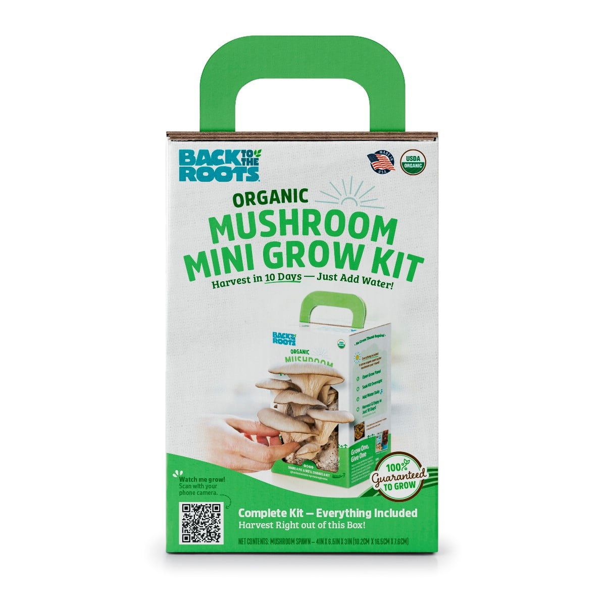 Root Mushroom Farm-Oyster Mushroom Growing Kit- Two 3-pound growing Kits 