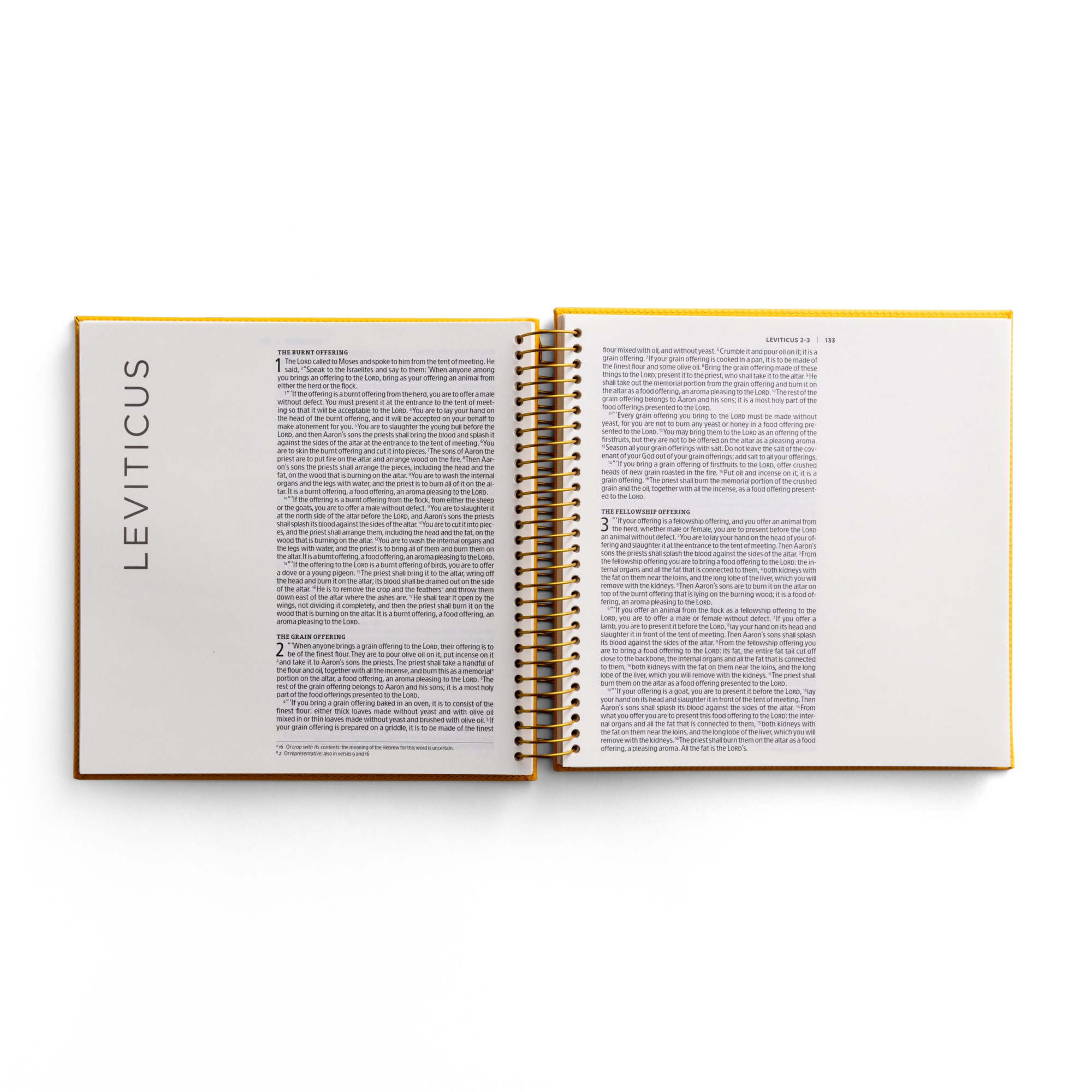 Illustrating Bible Niv: Genesis to Deuteronomy - Spiral Bound Bible Journal, (Spiral-Bound)