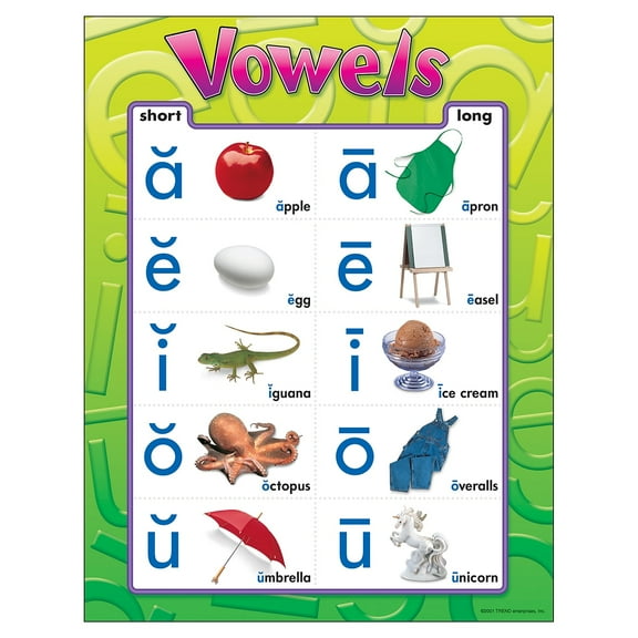 Vowels Learning Chart 17 x 22 [T38032]