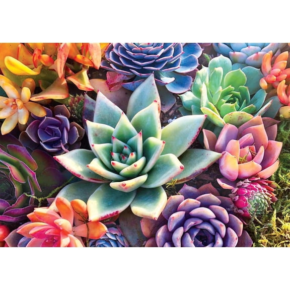 Wood Puzzle: Simple Succulent-Whimsy Pieces