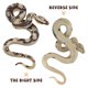 thumbnail image 3 of Modelo de simulación de serpiente de juguete, pequeña serpiente realista, juguete de Halloween, broma espeluznante y engañosa., 3 of 5