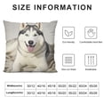 thumbnail image 6 of Nawypu Pillow Cover Decorative Square Pillowcase Cute Dog Siberian Husky White Animals Wildlife Paw Healthy Alaskan Sled Happy Domestic Pet Loyalty Soft Cushion Case for Sofa Bedroom Car 2pc, 6 of 6
