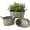 Antique Galvanized Gold, variant on Set of 3 Oval Planter Buckets with Handles, Black | Rustic Farmhouse Flower Tubs with Drain Holes and Plugs for Herbs, Succulents, Weddings and Tabletop Decor