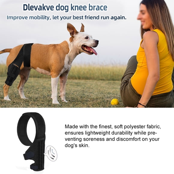 Brace,Torn Adjustable Injury Recovery Or Hind Recovery Size S/m/l Hind Injury Knee