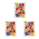 thumbnail image 5 of Cateissary Flores secas naturales en relieve flores prensadas decoración hogar para tarjetas de boda de resina Color Floral tipo B Type1 NO1, 5 of 6