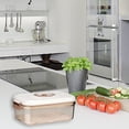 thumbnail image 1 of Contenedores de alimentos al vacío Summercome, contenedores de plástico sellados al vacío con bomba manual para almacenar alimentos, conservar frutas y preparar comidas. Contenedores de fácil, 1 of 8