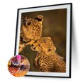 thumbnail image 1 of Cuadros Decorativos León mamá e hijo 5D DIY diamante pintura completo cuadrado taladro mosaico (30x40cm) Sywqhk Nuevos Originales, 1 of 1