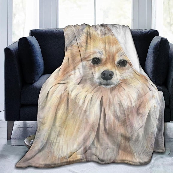 Newhomestyle 3D Flannel Plush Throw Blanket, 80"x60" Pomeranian Watercolor Pom Puppy Dog Cute Animal Painting, Super Cozy Air Conditioning Blanket