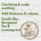 thumbnail image 3 of Aveeno Fresh Greens Shampoo + Conditioner with Rosemary, Peppermint & Cucumber to Thicken & Nourish, Clarifying & Volumizing Shampoo for Thin or Fine Hair, Paraben-Free, 12 Fl Oz, 3 of 7