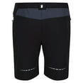 thumbnail image 2 of Regatta Hommes de Montagne II Shorts, 2 of 8