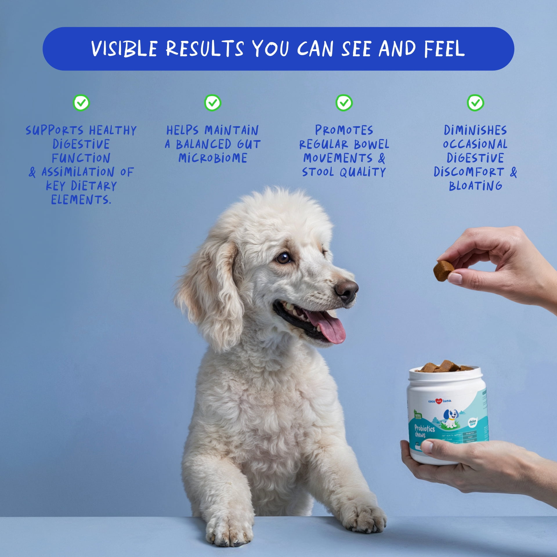 Coco and Luna Probiotics for Dogs - 90 Soft Chews - Diarrhea & Gas Support for Dogs - with Honey, Pumpkin and Prebiotics for Dog Allergies, Bad Dog Breath & Constipation Support