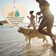 thumbnail image 1 of Adorno de perro de cristal marino corazón amante del perro | Decoración Memorial para Mascotas hecha a mano de 8 cm | Arte único de vidrio marino para colgar árboles de Navidad | Recuerdo, 1 of 8
