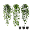 thumbnail image 1 of Plantas Artificiales Colgantes Decorativa Con Macetas Malubero Verde, 1 of 5