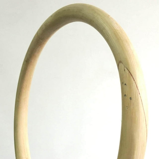 Maoww Wing Chun Rattan Ring Wrist Hand Strength Training IP Man Inner dia 28cm