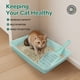 thumbnail image 3 of Kit Completo para Caja de Arena para Gatitos PAWISE Baja Entrada con Pala y Juguetes, 3 of 6