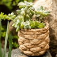 thumbnail image 6 of Grass Woven Looking Cement Planter, 6 of 11