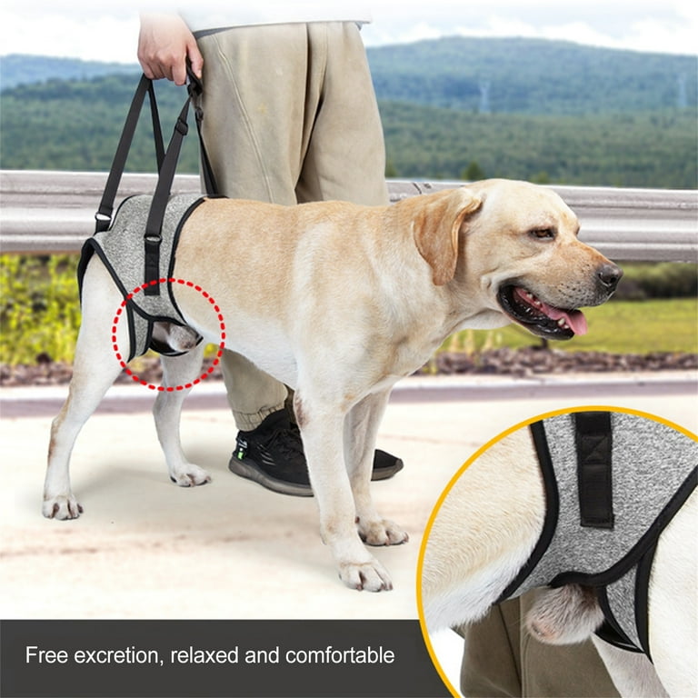 Dog Support Harness for Back Legs Dog Lift Harness for Rear