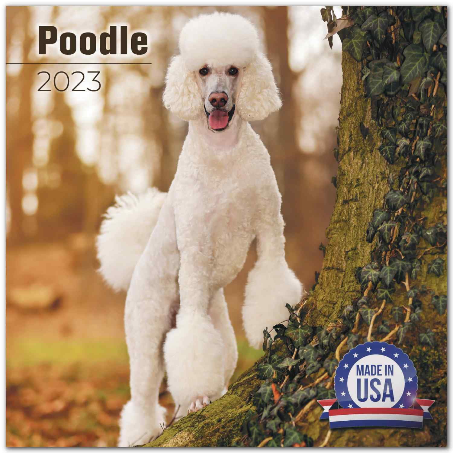 2022 2023 Poodle Calendar - Dog Breed Monthly Wall Calendar - 12 x 24 Open - Thick No-Bleed Paper - Giftable - Academic Teacher's Planner Calendar Organizing & Planning - Made in USA