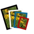 thumbnail image 3 of Coofit 4PCS Photo Frame Creative Dual Layers Magnetic Picture Frame Photo Display Frame, 3 of 10