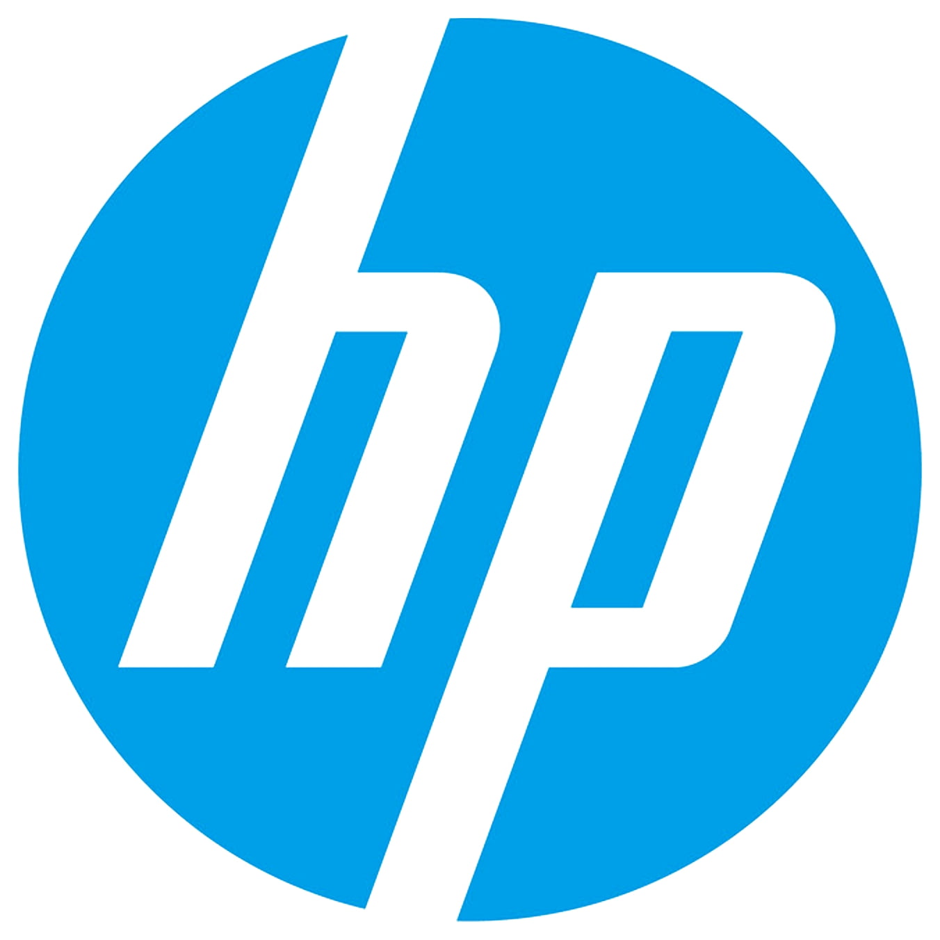 HP Heavyweight Coated Paper, Matte 1 Roll C6029C