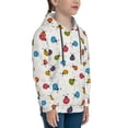 thumbnail image 3 of Haiem Cute Ladybugs Pattern Boys Hoodie, Youth Pullover Hooded Sweatshirt, Kangaroo Pocket Hoodie for Kids Girls -Small, 3 of 6