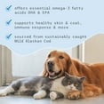 thumbnail image 7 of AIERSA Smart Pet Water Fountain, Automatic Pet Water No Filter Needed, Filterless Cat Water Fountain, Self-Cleaning Cat Water Without Filter, Rechargeable Water Dispenser for Cats, 7 of 7