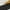 White/Yellow Ochre-Black, variant on Jordan Men's 6 Retro Yellow Ochre Basketball Shoes, from StockX