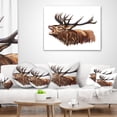 thumbnail image 4 of Designart Deer Head Illustration Art - Animal Throw Pillow - 18x18, 4 of 5