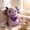 Purple, variant on Mecorevxz Hexagon Salamander Doll Sleeping Cartoons Cute Soft Cute Doll Fish Children Plushtoy Home Decoration(Blue)