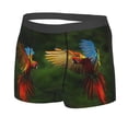 thumbnail image 5 of Goofa Hybrid Parrot in the Forest Printed Men's Boxer Briefs Underwear, Moisture-Wicking Underwear, Trunk,Soft and Breathable Cotton Underwear-X-Large, 5 of 9