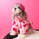 thumbnail image 4 of Ropa para perros otoño e invierno abrigo de felpa cálido con forma de amor chenari osito de peluche cubo ropa para mascotas + bolsa, 4 of 5