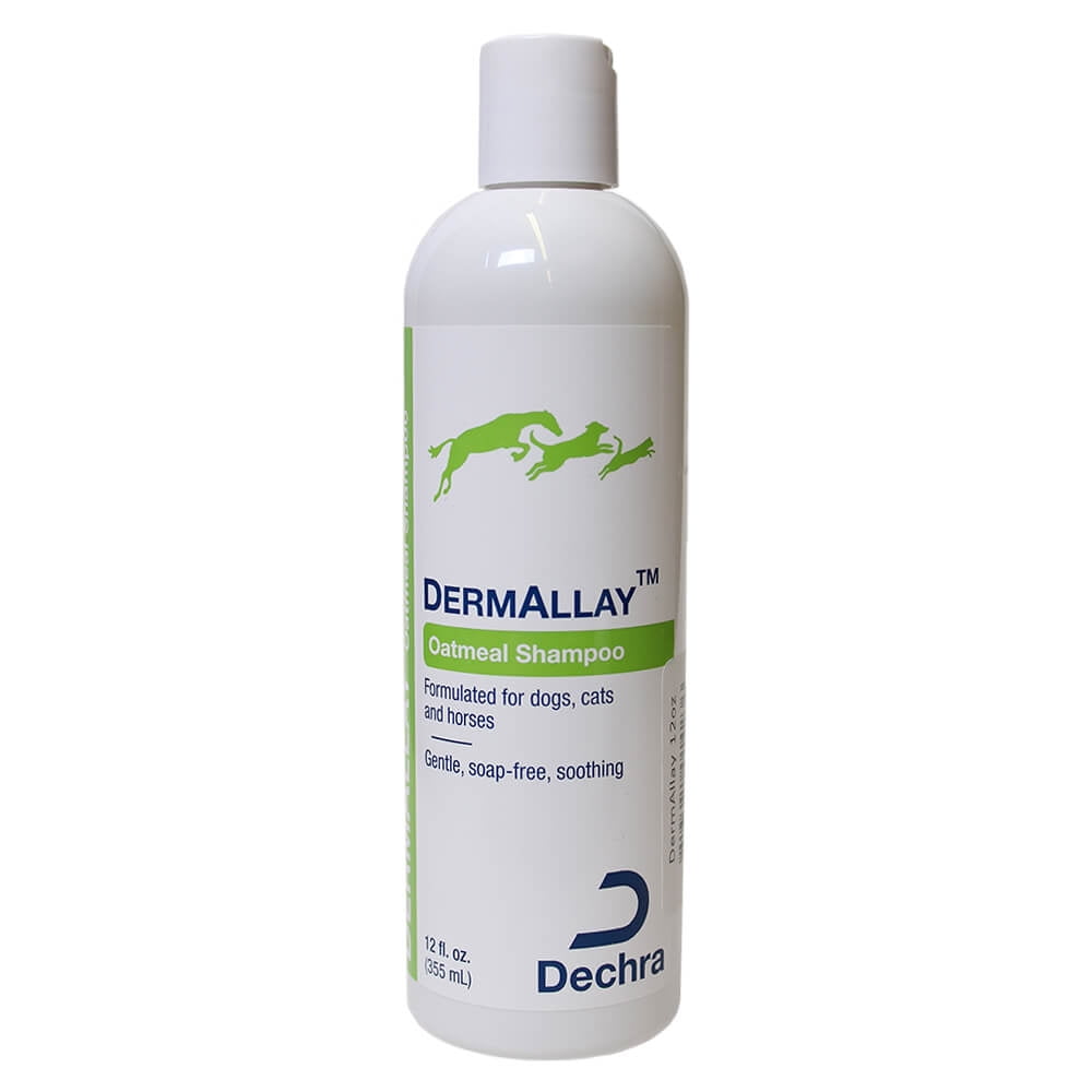 DermAllay Oatmeal Shampoo for Dogs, Cats, and 12 fl - Walmart.com